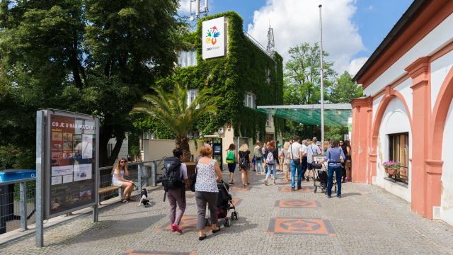 V pražské zoo byla potvrzená ptačí chřipka u ptáka v izolaci